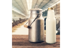 Image Milk bottle.